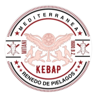 Kebap Mediterranea Renedo de Pielagos logo