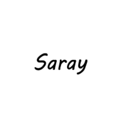 SARAY DONER KEBAB logo